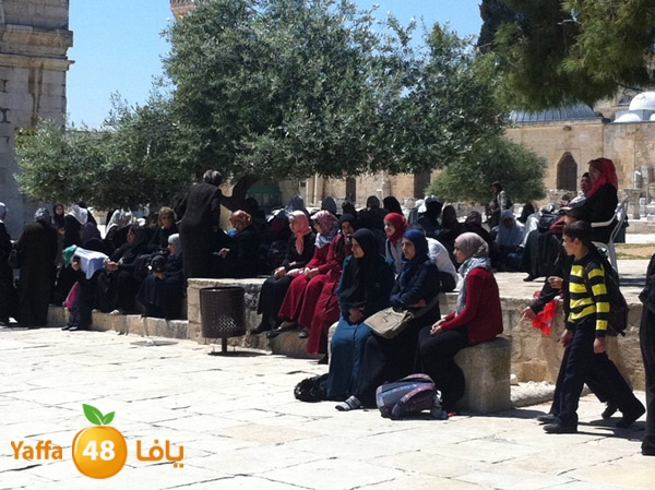 yaffa aqsa 0414 (37).JPG